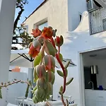 Casa Blu *
